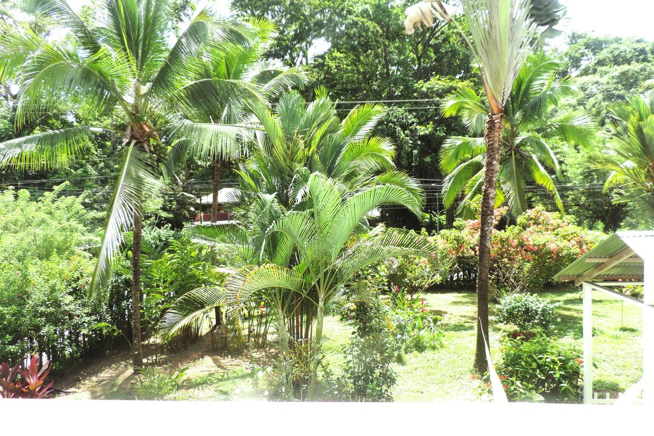 Rosa Lodge Cahuita Exterior photo